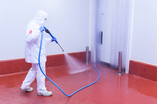 Best Warehouse Cleaning  in Kermit, TX